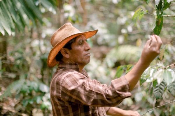 photo of picker