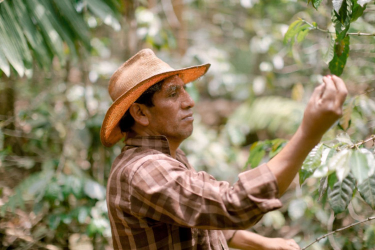 Photo of picker